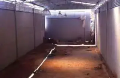 Barracão / Galpão / Depósito à venda na Rua João Alfredo, --, Horto, Belo Horizonte