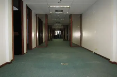 Andar corrido para aluguel, 8 vagas, coração de jesus - belo horizonte/mg