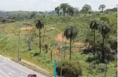 Lote - terreno à venda, andiroba - ribeirão das neves/mg