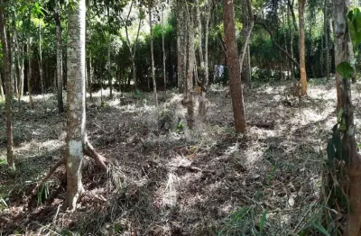 Terreno em condomínio fechado à venda na Rua Arapongas, --, Estância Serrana, Nova Lima