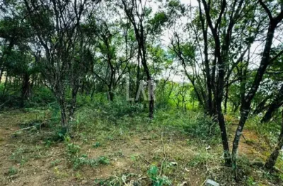 Terreno à venda na Rua Henrique José Ribeiro, --, Garças, Belo Horizonte