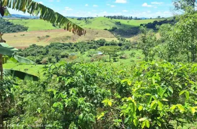 Sítio para venda em caldas, santana de caldas, 3 dormitórios, 2 banheiros, 1 vaga
