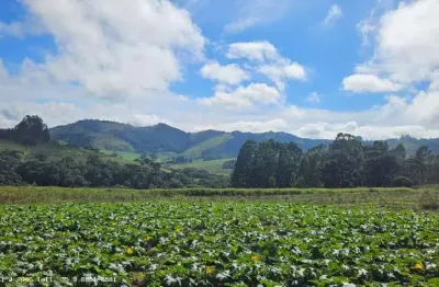 Sítio para venda em caldas, bom retiro, 3 dormitórios, 1 suíte, 1 banheiro, 2 vagas