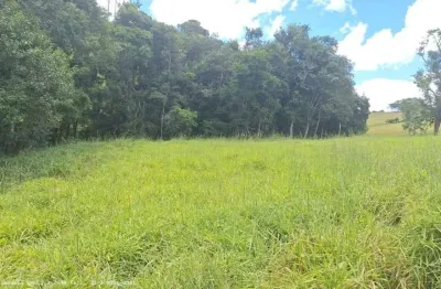 Sítio para venda em caldas, rio verde, 3 dormitórios, 1 banheiro