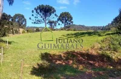 Chácara / sítio com 5 quartos à venda no Centro, Anitápolis 