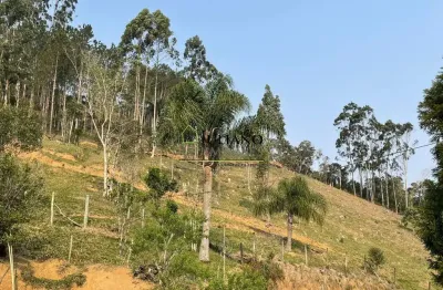 Terreno à venda na Zona Rural, Angelina 