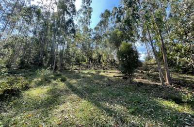 Terreno à venda no Rio dos Pinheiros, Anitápolis 