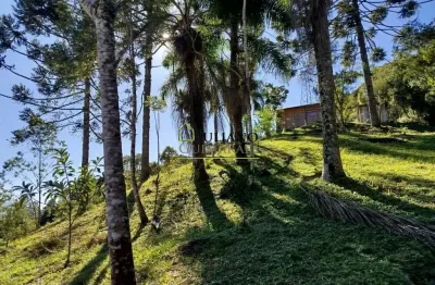 Terreno à venda no Centro, Angelina 