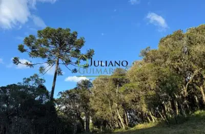 Lindo terreno rural, com rio, á venda em rancho queimado - sc