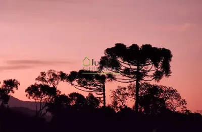 Terreno à venda em Taquaras, Rancho Queimado 