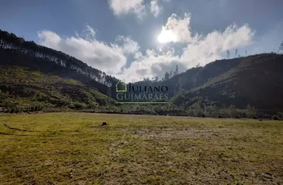 Terreno à venda no Rio das Antas, Rancho Queimado 