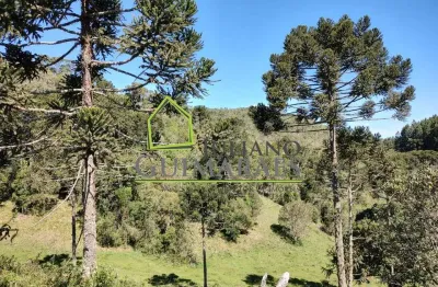 Terreno à venda no Centro, Rancho Queimado 