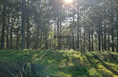 Terreno á venda em condomínio fechado village da montanha em rancho queimado - sc