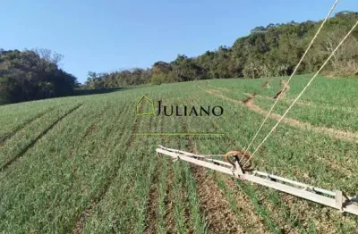 Terreno à venda na Barra Clara, Angelina 