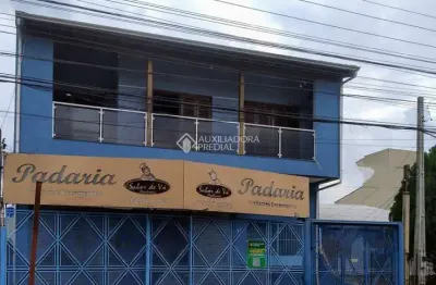 Casa com 3 quartos à venda na rua princesa isabel, 776, vila princesa izabel, cachoeirinha, 238 m2 por r$ 899.990