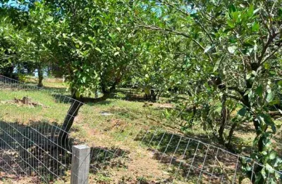 Fazenda à venda na josé antônio daud, 60, costa do ipiranga, gravataí, 2640 m2 por r$ 330.000