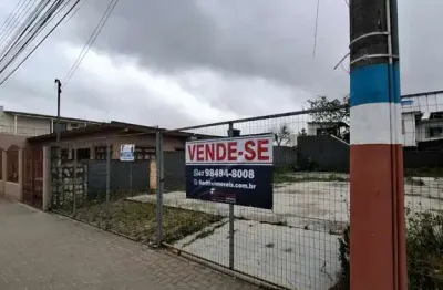 Terreno comercial à venda na Rua José Francisco Laurindo, SN, São Domingos, Navegantes