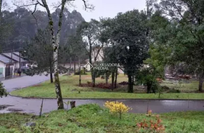 Terreno à venda na palmeiras, 110, centro, gramado, 464 m2 por r$ 650.000