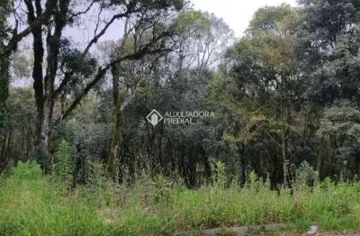 Terreno à venda na vinicius de moraes, 1, vila do cedro, canela, 611 m2 por r$ 300.000