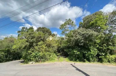 Terreno à venda na joão aloí­sio hartz, 1, centro, gramado, 10846 m2 por r$ 1.100.000