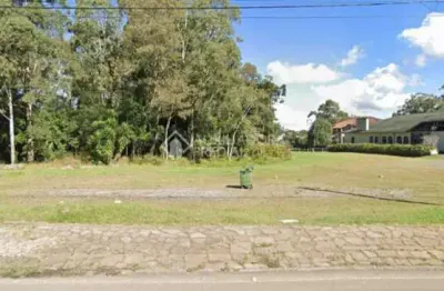 Terreno comercial à venda na das hortências, 4846, centro, gramado, 3730 m2 por r$ 9.500.000