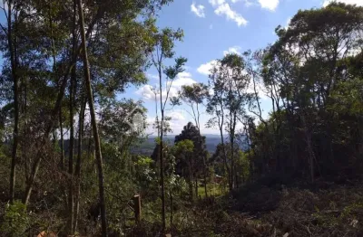 Terreno à venda na campestre do tigre, 100, centro, gramado, 50000 m2 por r$ 4.000.000