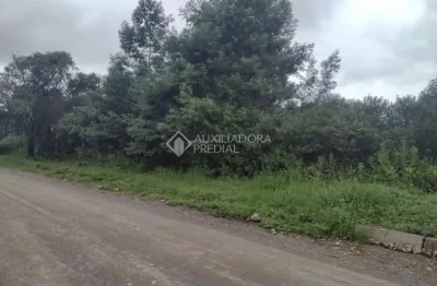 Terreno à venda na gilda tanelo bolognesi, 9, centro, canela, 1150 m2 por r$ 1.300.000