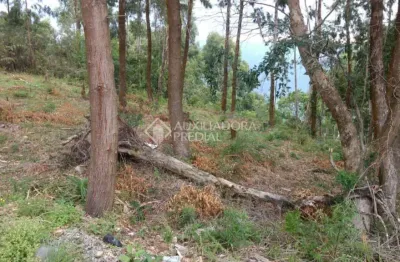 Terreno à venda na belo monte, 15, centro, canela, 257 m2 por r$ 315.000