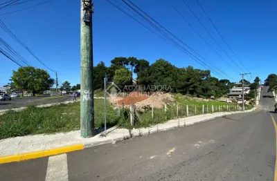 Terreno comercial à venda na avenida cônego joão marchesi, 55, centro, canela, 4980 m2 por r$ 4.000.000