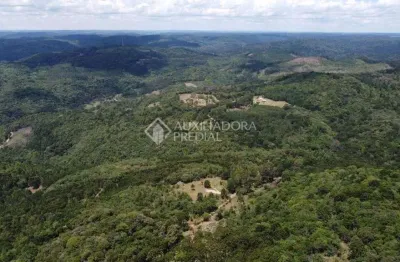 Terreno à venda na omar victor veeck, 15, caracol, canela, 820000 m2 por r$ 27.500.000