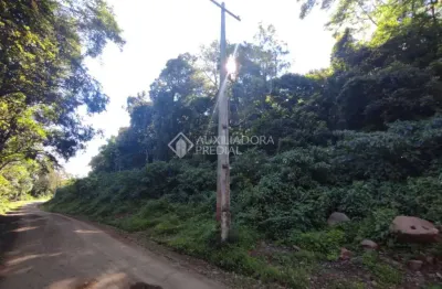 Terreno à venda na são paulo/canastra, 30, centro, canela, 100000 m2 por r$ 350.000