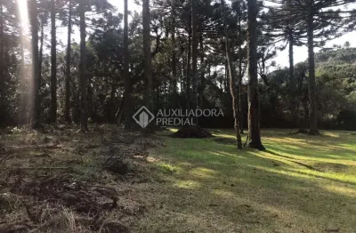 Terreno em condomínio fechado à venda na omar victor veeck, 1, caracol, canela, 750 m2 por r$ 499.000