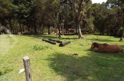Terreno em condomínio fechado à venda na presidente joao goulart, 149, centro, canela, 4825 m2 por r$ 1.060.000