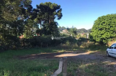 Terreno à venda na rua visconde de mauá, 01, centro, canela, 2460 m2 por r$ 10.000.000