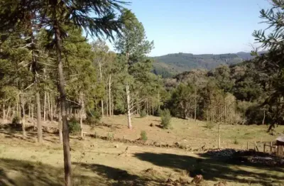 Terreno à venda na municipal cnl 350, 120, centro, canela, 30000 m2 por r$ 3.000.000