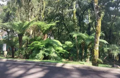 Terreno em condomínio fechado à venda na rua prefeito waldemar frederico weber, 1815, mato queimado, gramado por r$ 1.500.000