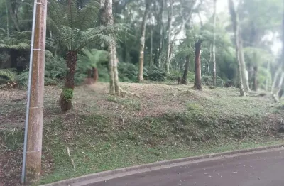 Terreno em condomínio fechado à venda na rua prefeito waldemar frederico weber, 1815, mato queimado, gramado por r$ 1.400.000