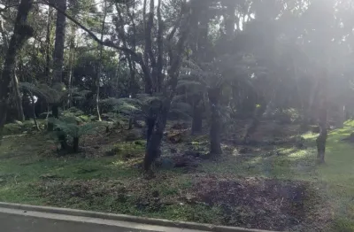 Terreno em condomínio fechado à venda na rua prefeito waldemar frederico weber, 1815, mato queimado, gramado por r$ 2.990.000