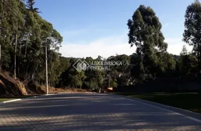 Terreno à venda na godofredo raymundo, 07, palace hotel, canela, 1 m2 por r$ 395.000