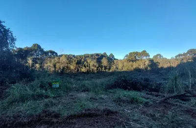 Terreno à venda na linha furna, 1, linha furna, gramado por r$ 3.000.000