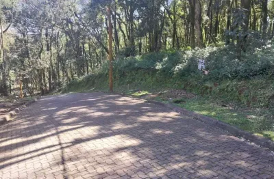 Terreno à venda na ers-466, 16, caracol, canela, 952 m2 por r$ 750.000