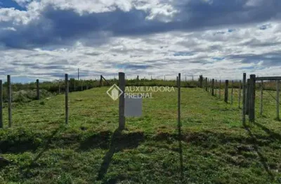 Terreno à venda na 21 de abril, 1, campo do meio, são francisco de paula, 360 m2 por r$ 150.000