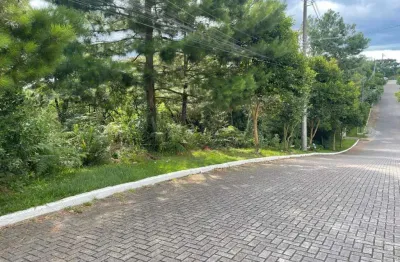 Terreno à venda na torino, 01, mato queimado, gramado, 4648 m2 por r$ 1.450.000