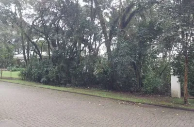 Terreno em condomínio fechado à venda na das caneleiras, 22, reserva da serra, canela, 555 m2 por r$ 1.000.000