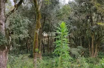 Terreno à venda na vinicius de moraes, 1, vila do cedro, canela, 612 m2 por r$ 266.000