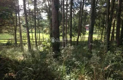Terreno à venda na dos manea, 157, jardim das fontes, canela, 12764 m2 por r$ 1.060.000
