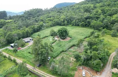 Terreno à venda na alfredo capeletti, 380, linha 28, gramado, 6000 m2 por r$ 935.000
