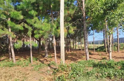 Terreno à venda na caiapos, 9, arroio teixeira, capão da canoa, 360 m2 por r$ 85.000