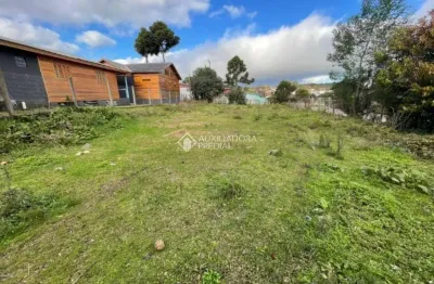Terreno à venda na dos farrapos, 21, vila dante, canela, 680 m2 por r$ 300.000