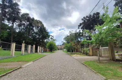 Terreno em condomínio fechado à venda na irmão albino bruneto, 1, parque das hortênsias, canela, 640 m2 por r$ 800.000